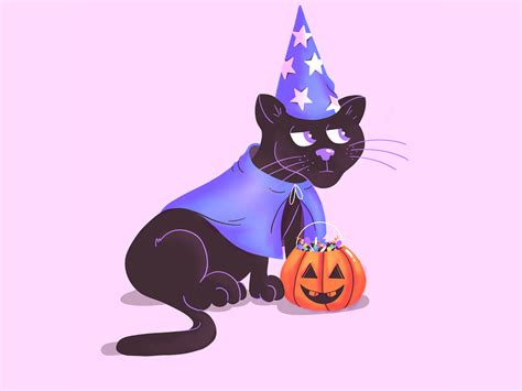 Wizard Cat by Courtney Askew on Dribbble