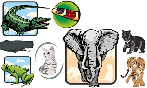 Animals Clipart - Vector images on CD or by download