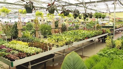 Garden Center - Alsip Home & Nursery