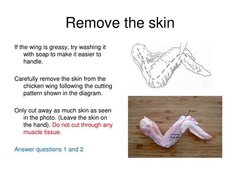 PPT - Chicken Wing Dissection PowerPoint Presentation, free download - ID:9211020