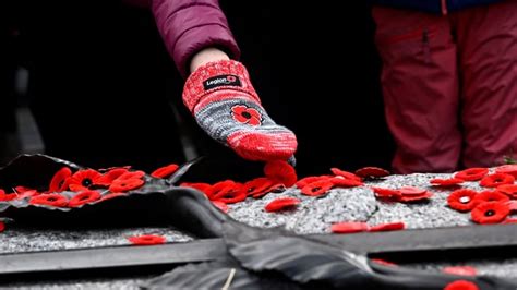 Canadians gather for Remembrance Day ceremony in Ottawa, as top soldier ...