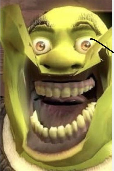 9 + 10 = 21 | Shrek funny, Funny troll, Shrek