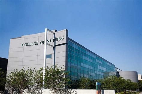 USF Accelerated Nursing Program (University of South Florida) - Ask Degrees