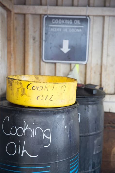 Advice for Disposing of Used Cooking Oil – SeQuential