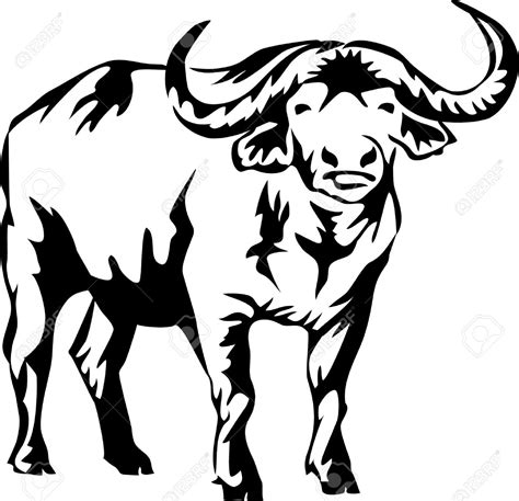 buffalo clipart outline - Clipground