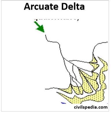 Arcuate Delta Diagram