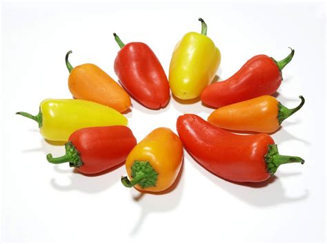 Red, Yellow, and Orange Pepper Isolated on White Background