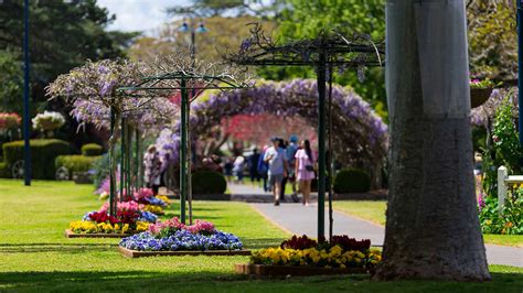 Toowoomba's Carnival of Flowers Has Locked in Its 2023 Dates After a ...