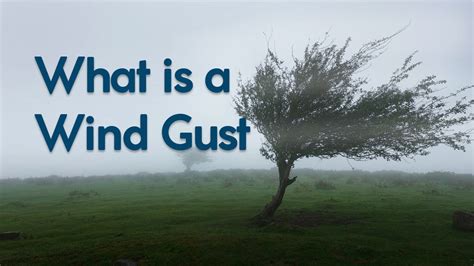 What is a wind gust? - WindyLand