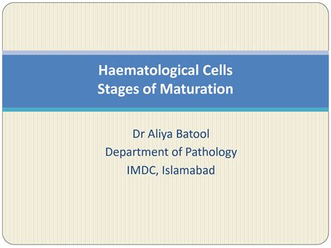 SOLUTION: Haematopoiesisstages - Studypool