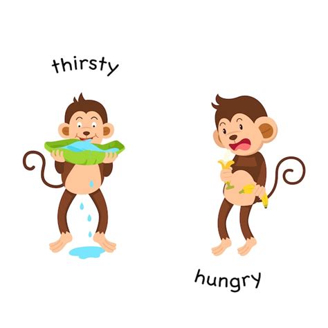 Premium Vector | Opposite thirsty and hungry illustration