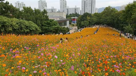 EAT.TRAVEL.REPEAT: [KOREA] 올림픽공원 OLYMPIC PARK SEOUL