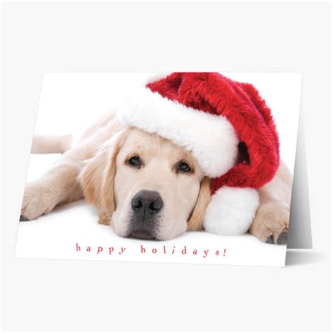 Christmas Greeting Cards & Business Christmas Cards | Cards For Causes