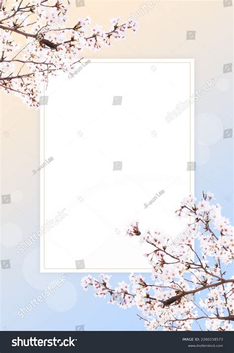 Spring Wallpaper Cherry Blossom Flowers Stock Photo 2260158573 | Shutterstock