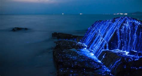 Piruja: Las rocas que lloran rios Azules. ( Okayama, Japón )