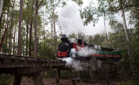 Timbertown Steam Train Experience