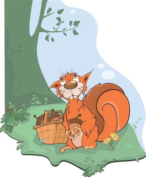 The Squirrel and Acorns. Cartoon Stock Vector - Illustration of isolated, rodent: 28432084