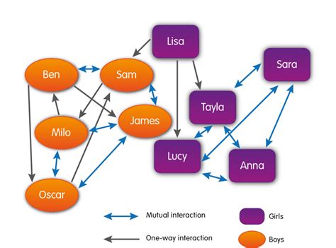 What Is a Sociogram? A Leadership Tool Worth Knowing About • Six Seconds