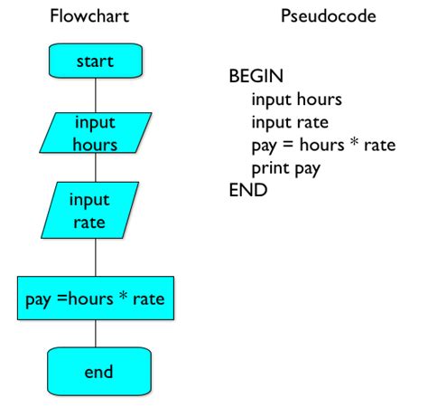 Introductory Examples Of Flowcharts And Pseudocode - Vrogue