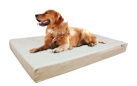 Best Waterproof Dog Bed – 10 Top Picks - My Dog's Name