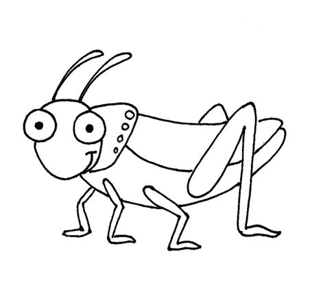 Grasshopper Drawing For Kids at GetDrawings | Free download