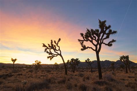 Sunset in Joshua Tree National Park [OC] [6016x4016] : r/EarthPorn