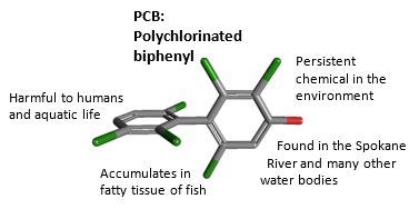 What are PCBs?