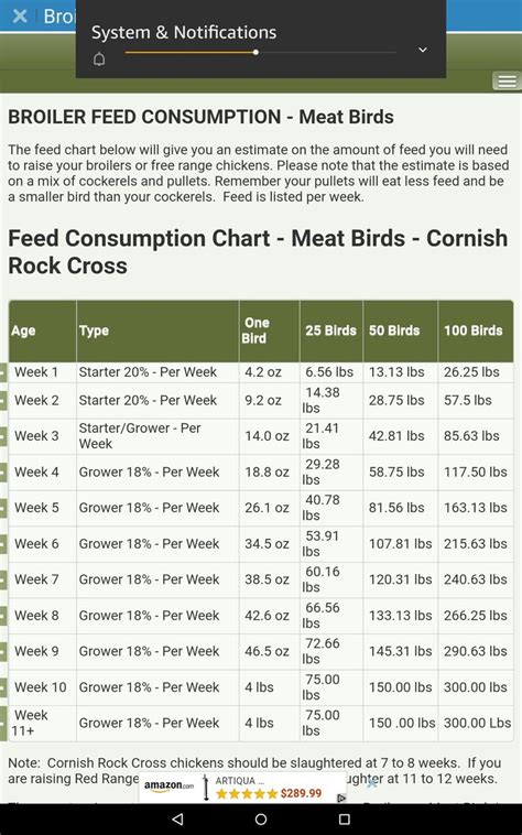 Pin by anne on Chickens in 2020 | Meat birds, Free range chickens, Chickens