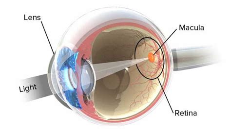 Peripheral vision, causes of peripheral vision problems & treatment