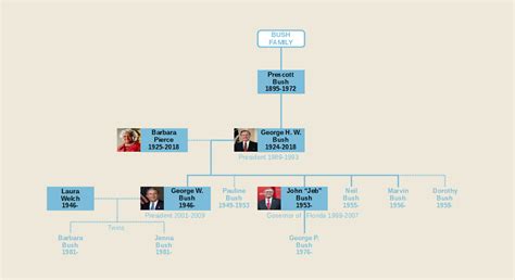 The Bush Family Tree of Politics : r/UsefulCharts