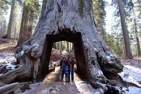 5 National Parks To Visit With Bay Area Kids Before They Grow Up - 510 ...