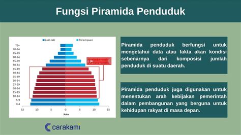 5 PIRAMIDA PENDUDUK INDONESIA: Pengertian, Fungsi, Jenis & Gambar