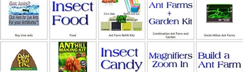 Uncle Milton Ant Farms-$2.50 Live Ants for Sale - Butterfly Pavilions - Fascinations Antworks ...