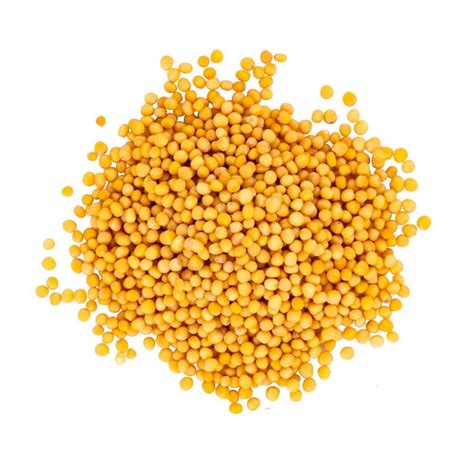 Buy Yellow Mustard Seeds 1 Kg at Best Prices in India