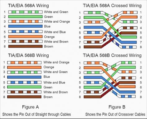 Cat 6 Connectors Diagram