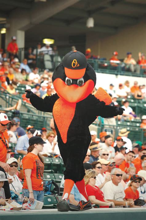 Inside Spring Training with the Baltimore Orioles Mascot | Sarasota ...