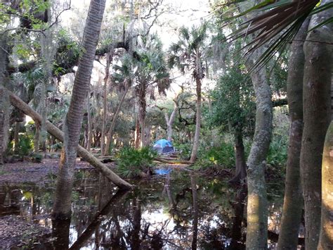 Myakka River State Park Big Flats Campground near Sarasota Florida4 ...