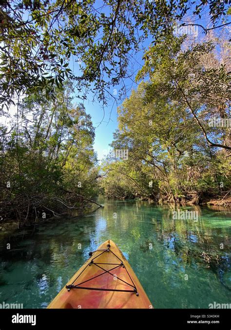 Kayaking Weeki Wachee Springs State Park, Florida Stock Photo - Alamy