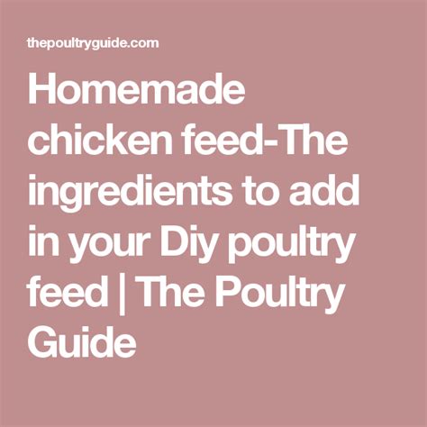 Homemade chicken feed-The ingredients to add in your Diy poultry feed ...