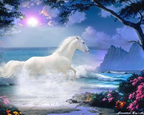 BEAUTIFUL WHITE HORSE WALLPAPER ( Desktop Background
