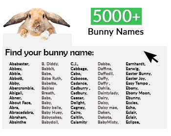 5000 most popular bunny names top 250 boy girl – Artofit