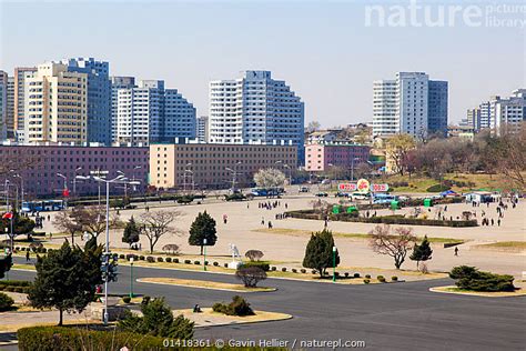 Stock photo of Modern apartment buildings in city centre of Pyongyang ...