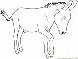 Free Printable Donkey Coloring Pages For Kids sketch template