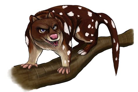 MACULA Tiger Quoll - ANiMOZ - Fight for Survival