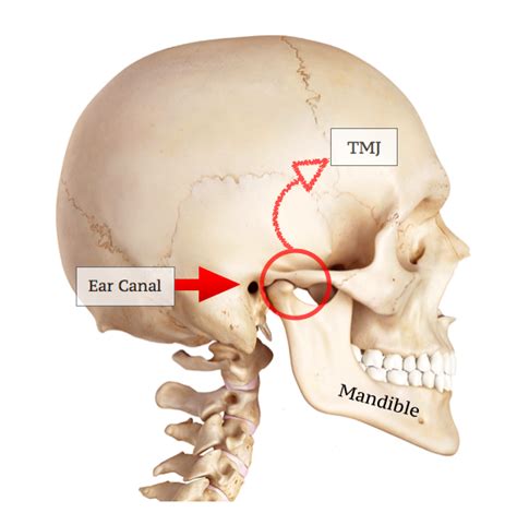 TMJ Help! – ACupofTeawithME