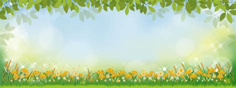 Vector Spring nature background with sunflowers and green grass field, Summer background with ...