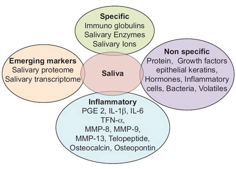 Saliva Biomarkers for Diagnosis of Periodontal Disease | News | Dentagama