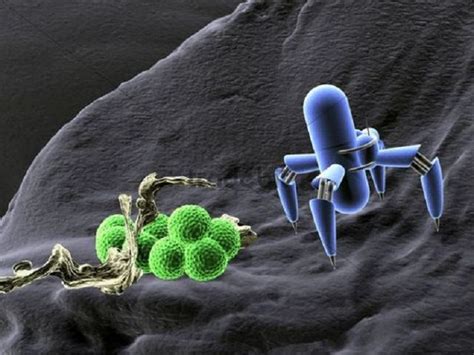 Micro Robots That Can Do Surgery From Inside of Your Body