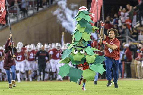 Stanford tree mascot suspended after it opened a 'Stanford Hates Fun ...