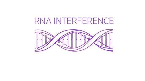 What is RNAi and How Do RNAi Therapeutics Work? | Alnylam® Newsroom